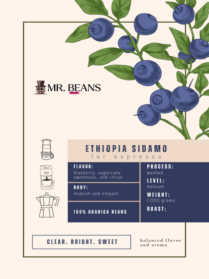 Ethiopia Sidamo